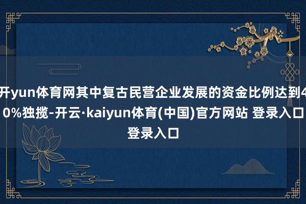 开yun体育网其中复古民营企业发展的资金比例达到40%独揽-开云·kaiyun体育(中国)官方网站 登录入口