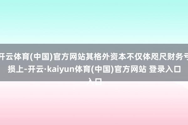 开云体育(中国)官方网站其格外资本不仅体咫尺财务亏损上-开云·kaiyun体育(中国)官方网站 登录入口