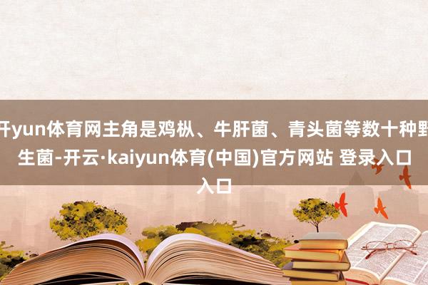 开yun体育网主角是鸡枞、牛肝菌、青头菌等数十种野生菌-开云·kaiyun体育(中国)官方网站 登录入口