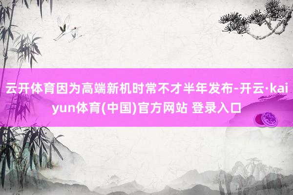 云开体育因为高端新机时常不才半年发布-开云·kaiyun体育(中国)官方网站 登录入口