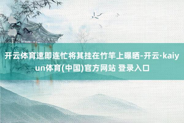 开云体育速即连忙将其挂在竹竿上曝晒-开云·kaiyun体育(中国)官方网站 登录入口